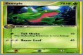 Grovyle (EX Emerald 28) - Bulbapedia, the community-driven Pokémon encyclopedia